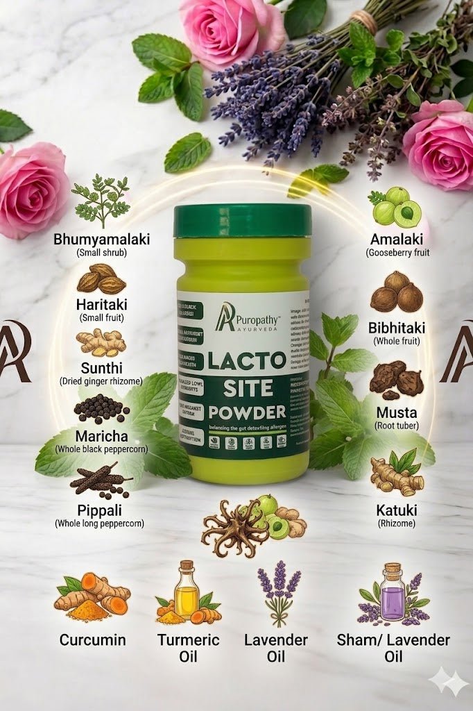 probiotic supplement for gut health and digestion support