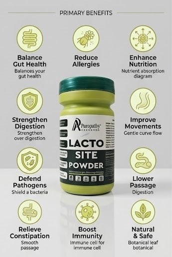 probiotic supplement for gut health and digestion support