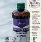 A bottle of Liver syrup sits on a table with herbs, spices, and amla. Icons illustrate liver detox, enzyme balance, metabolism, and antioxidants. Below reads: "Your partner in natural Ayurvedic Liver Care.