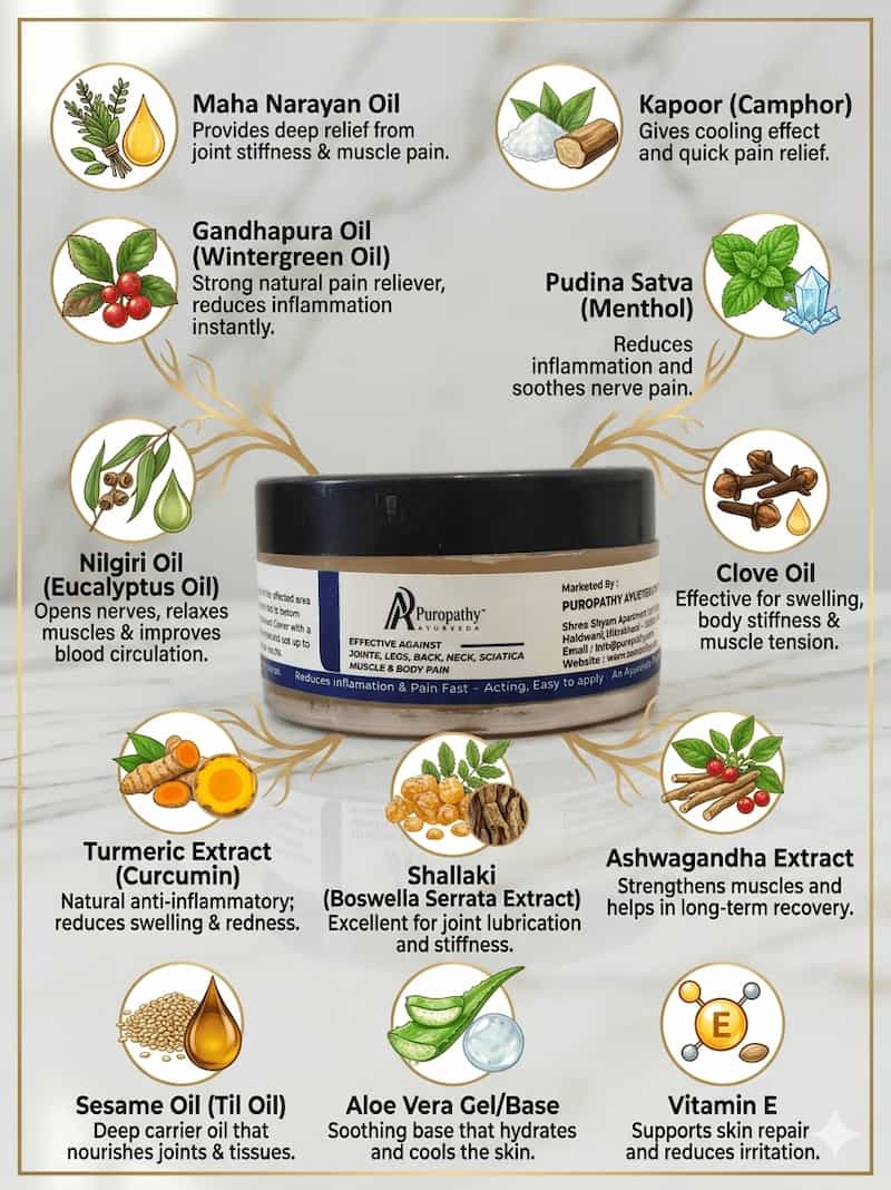 “Ortho Pain Relief Balm for muscle, joint, and back pain soothing support”